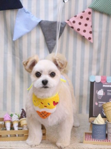 20250516だんごくん